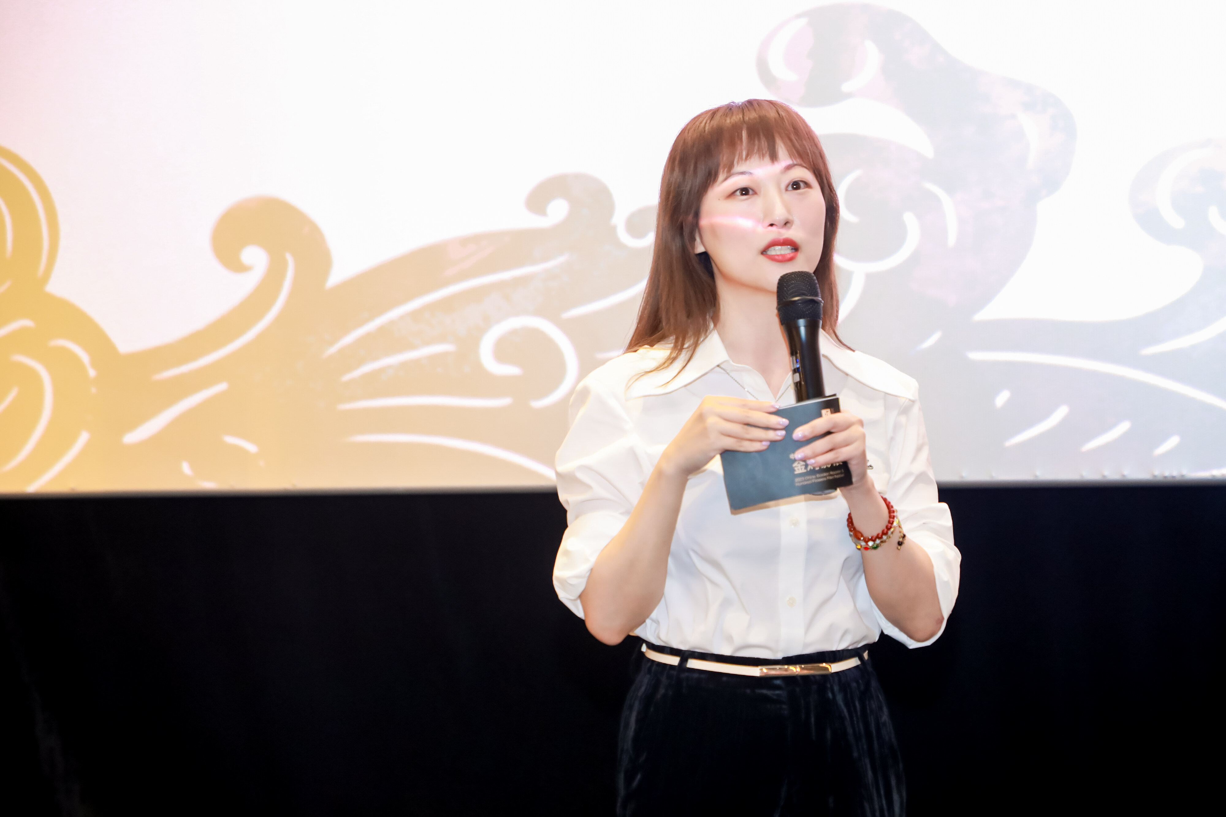 华语影展《素还真》映后见面会
