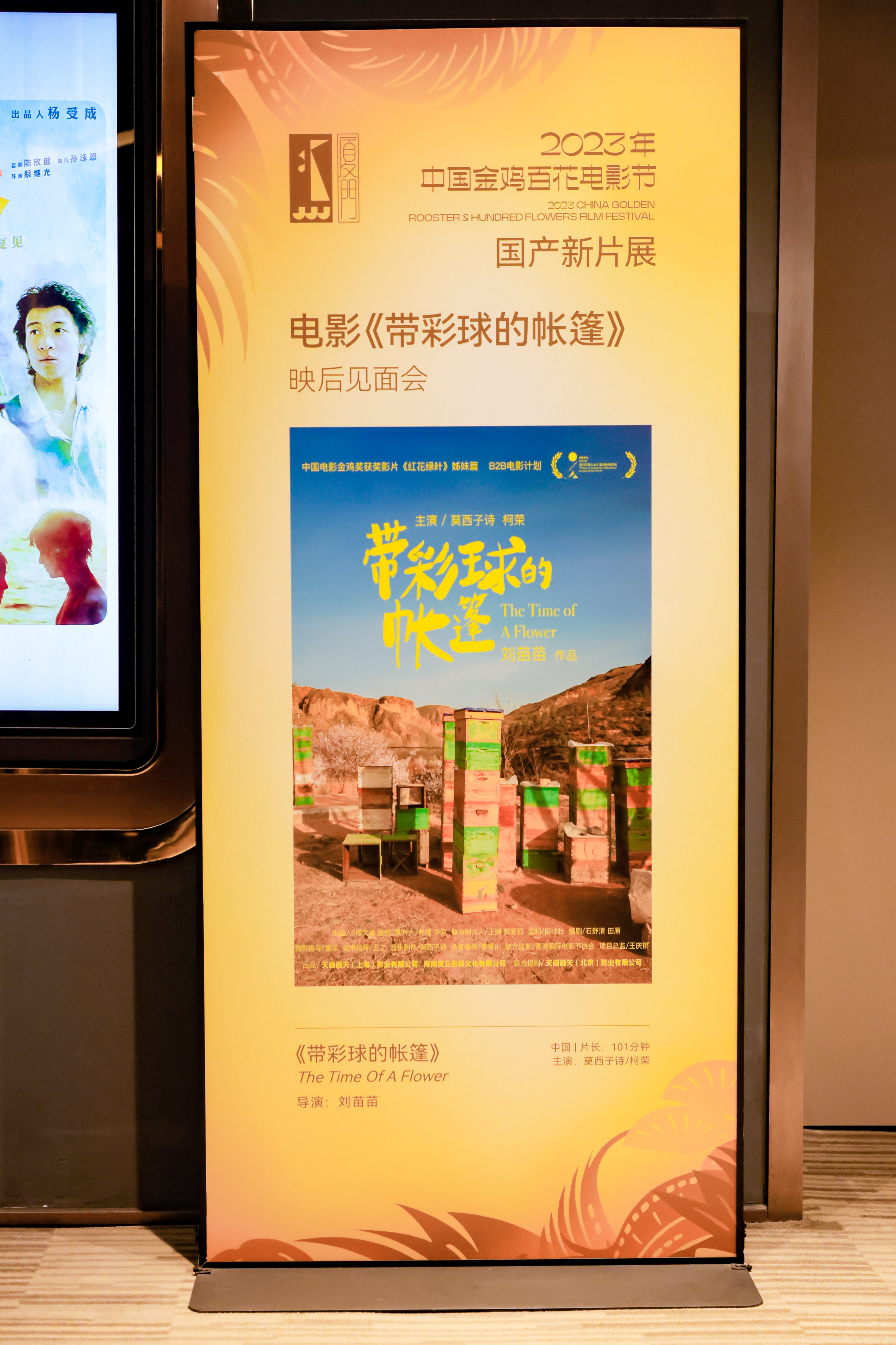 国产新片展《带彩球的帐篷》映后见面会